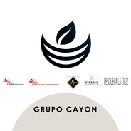 CAYON INVESTMENTS